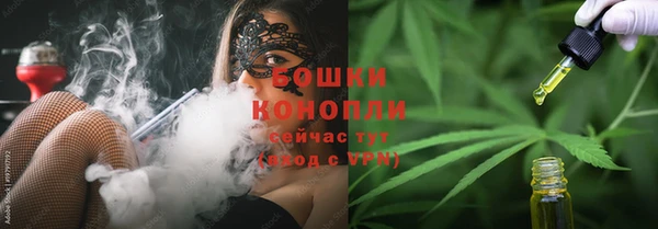 спайс Арсеньев
