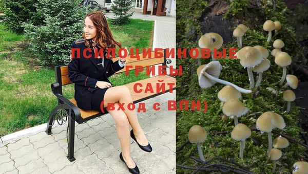сатива Армянск
