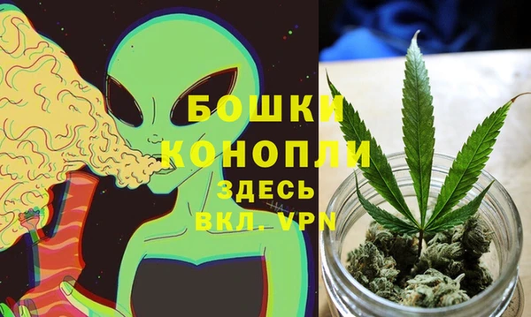 метадон Новозыбков