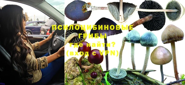 спайс Арсеньев