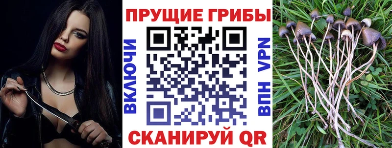 Галлюциногенные грибы GOLDEN TEACHER  закладки  KRAKEN как зайти  Протвино 